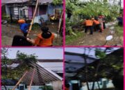 Hujan Lebat Disertai Angin Kencang Melanda Perumahan Tamarunang Kabupaten Gowa