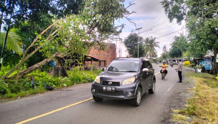 Wujud Pelayanan Prima, Polsek Majauleng Lakukan Evakuasi Pohon Tumbang yang Membahayakan Pengendara*
