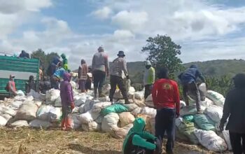 Ketahanan Pangan untuk Negeri: Polda Sulsel dan Bulog Bersinergi Menjaga Kesejahteraan Petani Jagung*