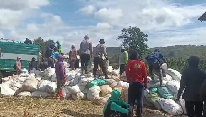 Ketahanan Pangan untuk Negeri: Polda Sulsel dan Bulog Bersinergi Menjaga Kesejahteraan Petani Jagung*